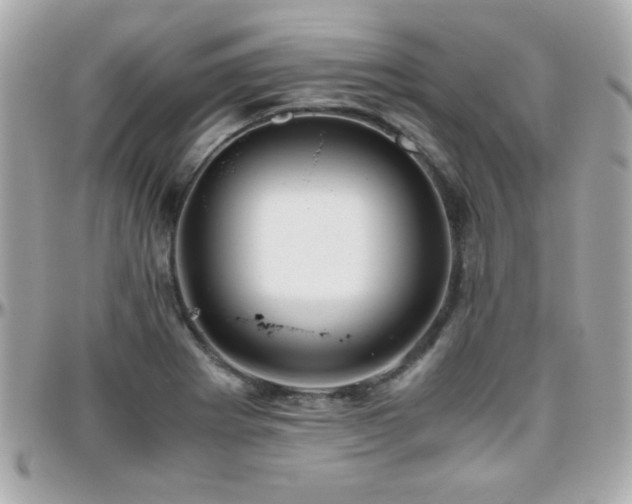 X0000096461273200801241359