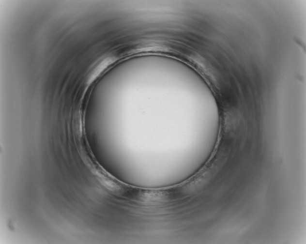 X0000096461274200801241359