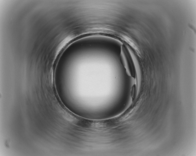 X0000096461275200801241359