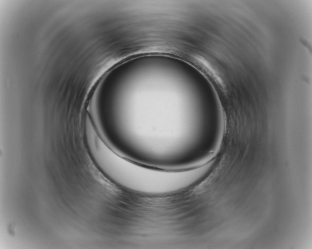 X0000096461276200801241359