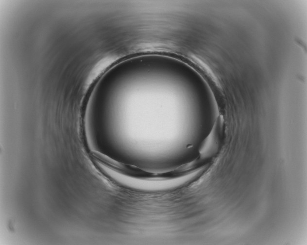 X0000096461277200801241358