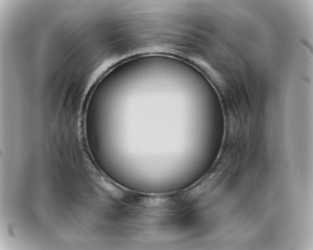 X0000096461278200801241358
