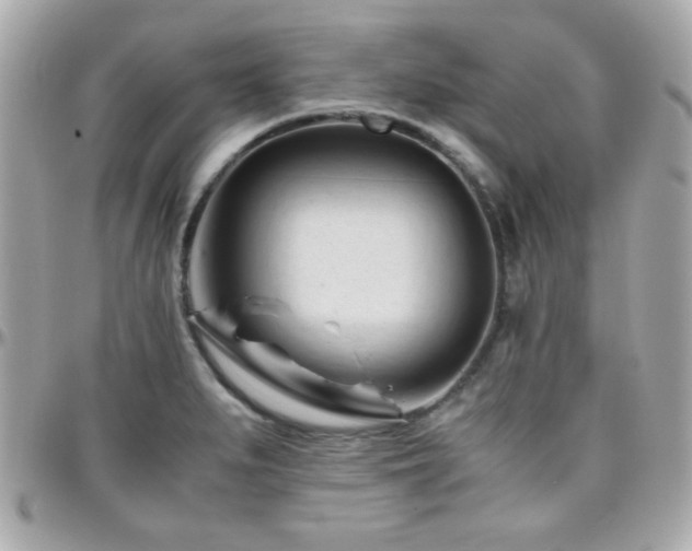 X0000096461279200801241358