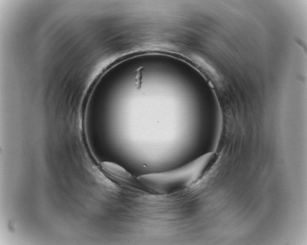 X0000096461280200801241358