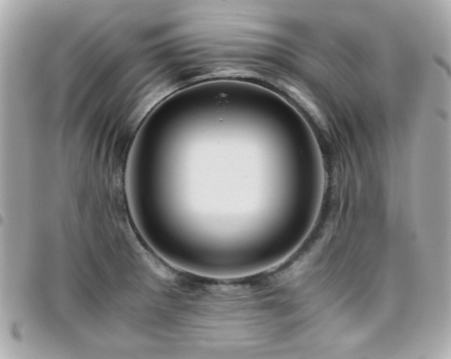 X0000096461281200801241358