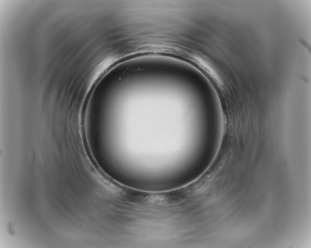 X0000096461283200801241358
