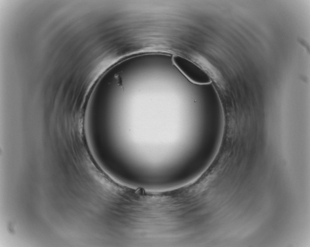 X0000096461284200801241358