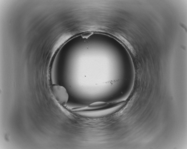 X0000096461285200801241358