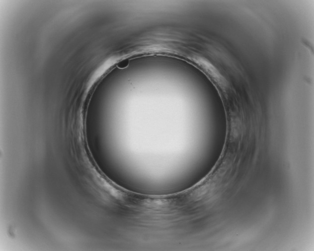 X0000096461286200801241358