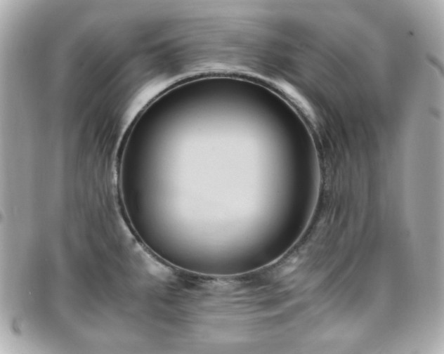 X0000096461287200801241358