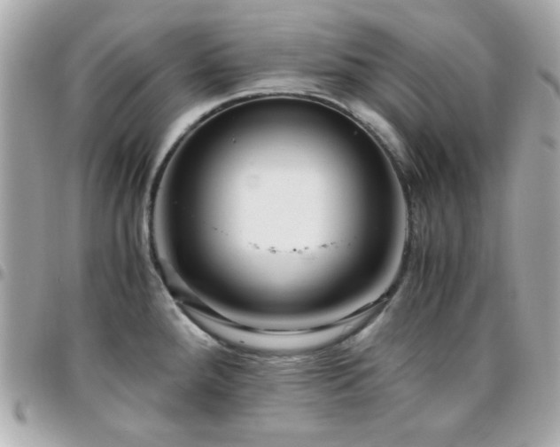 X0000096461288200801241358