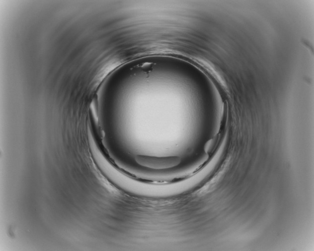 X0000096461289200801241358