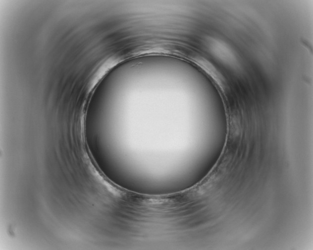 X0000096461290200801241358