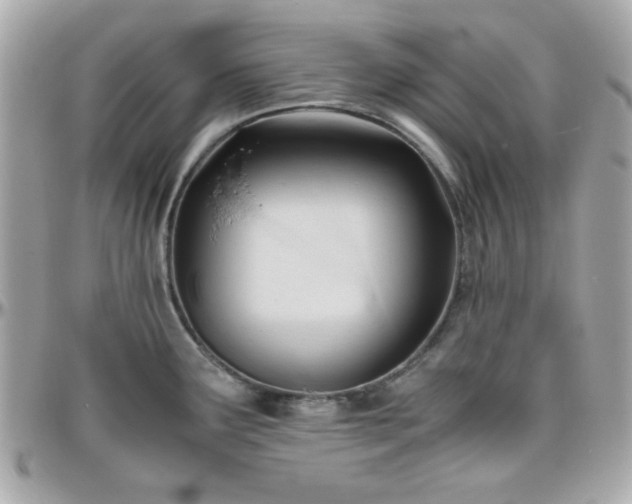 X0000096461291200801241358