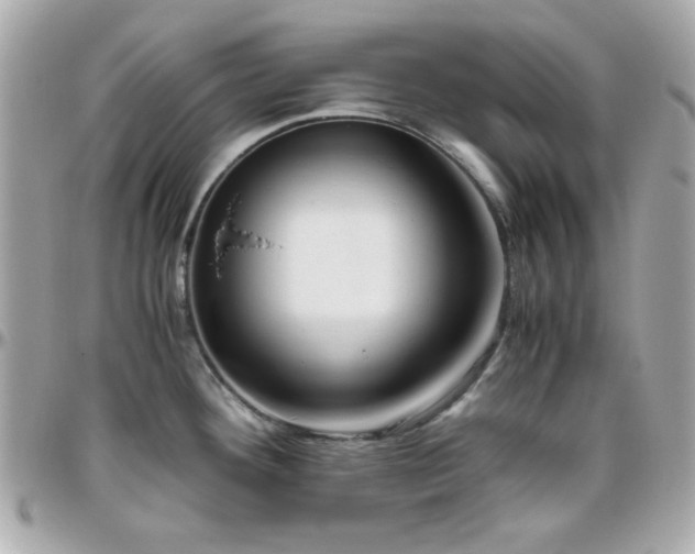 X0000096461292200801241358