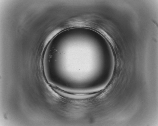 X0000096461293200801241358