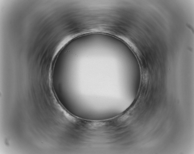 X0000096461294200801241358
