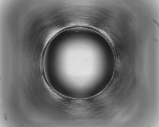 X0000096461295200801241358
