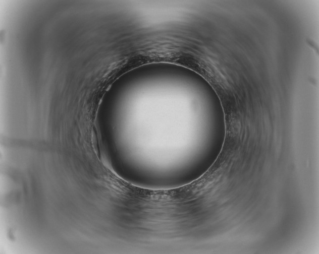 X0000096461297200801241358