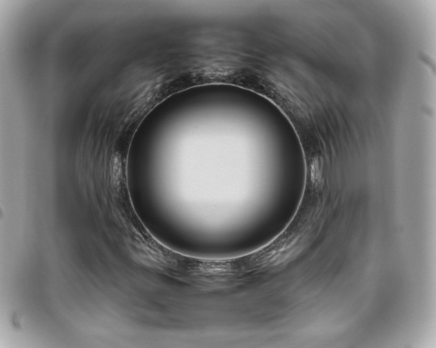 X0000096461299200801241358