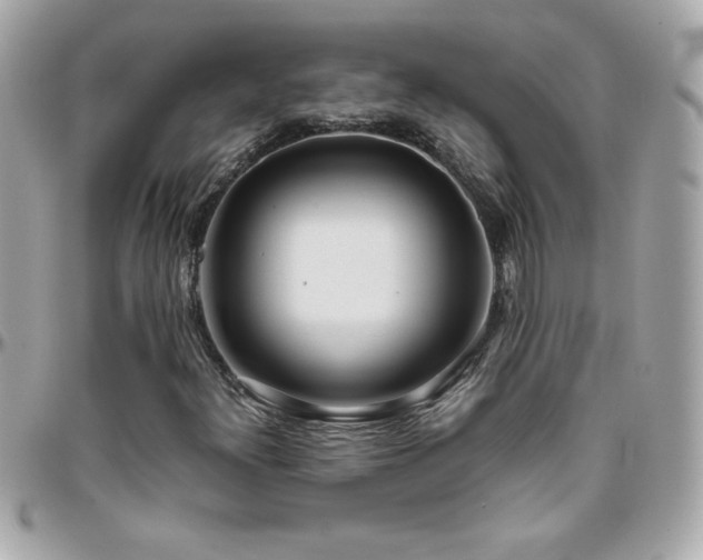 X0000096461300200801241358
