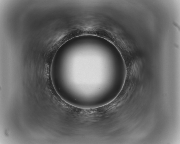 X0000096461301200801241358