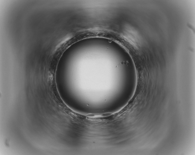 X0000096461302200801241358