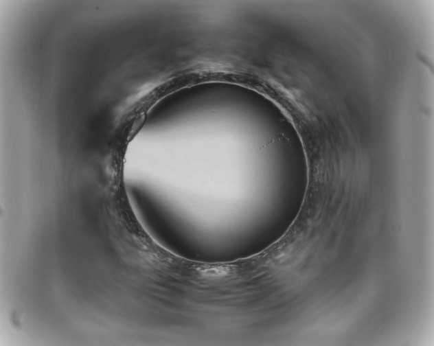 X0000096461303200801241358