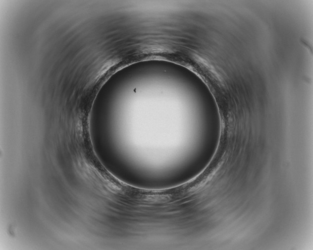 X0000096461305200801241358