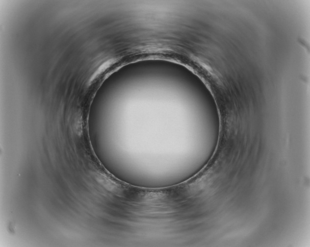 X0000096461306200801241358