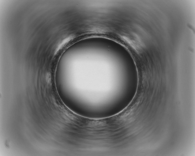 X0000096461307200801241358