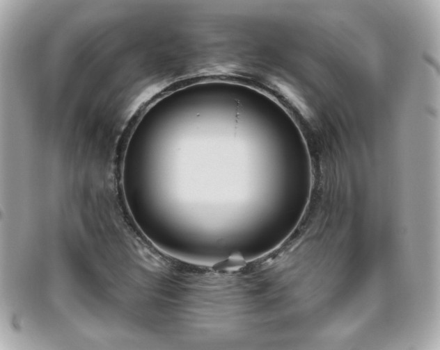 X0000096461308200801241358