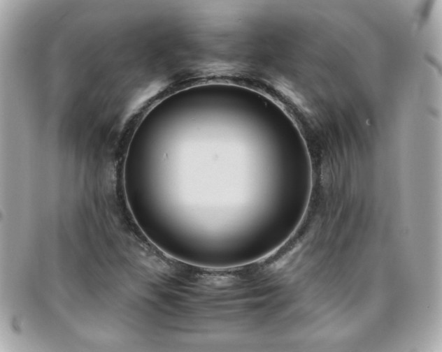 X0000096461309200801241358