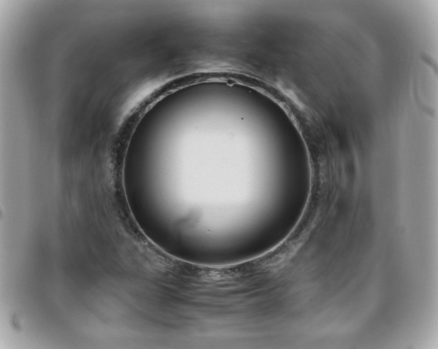 X0000096461311200801241358