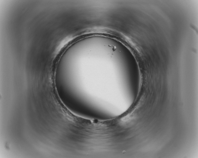 X0000096461312200801241358