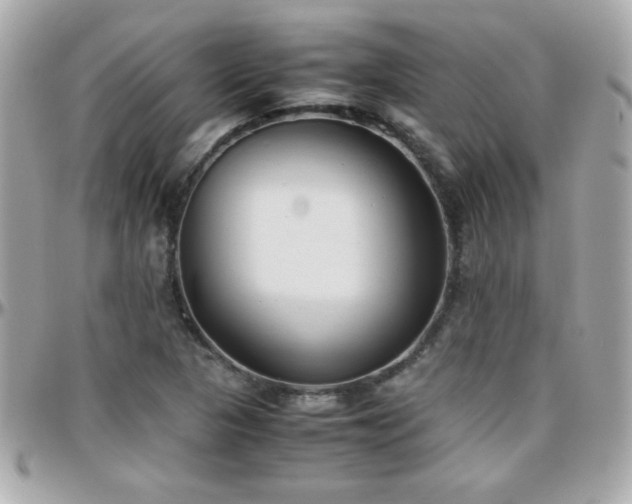 X0000096461313200801241358