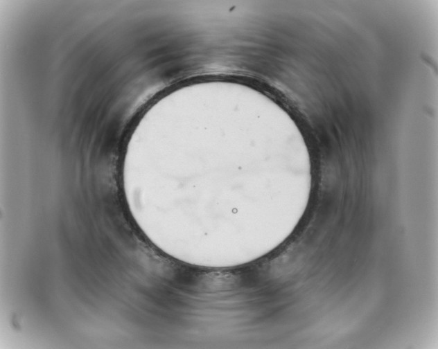 X0000096461314200801241358