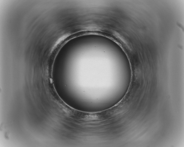 X0000096461315200801241358
