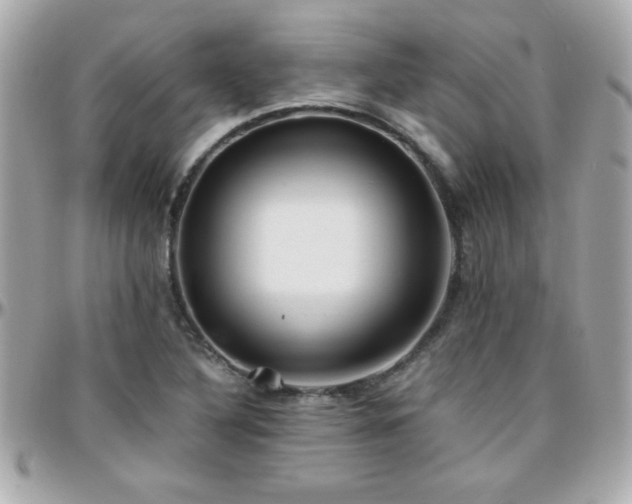 X0000096461316200801241358