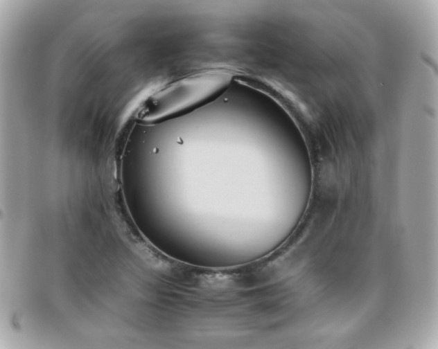 X0000096461317200801241358