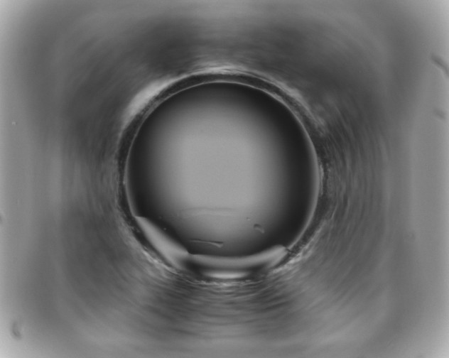 X0000096461319200801241358