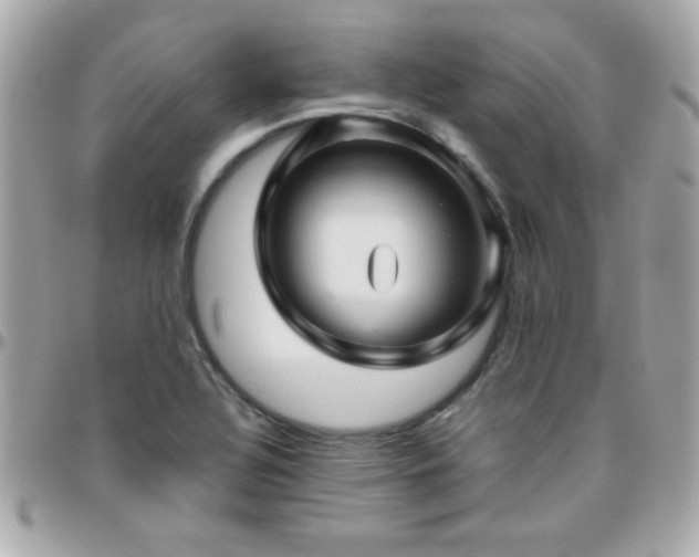 X0000096461320200801241358