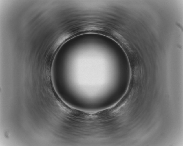 X0000096461321200801241358