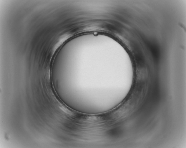 X0000096461322200801241358