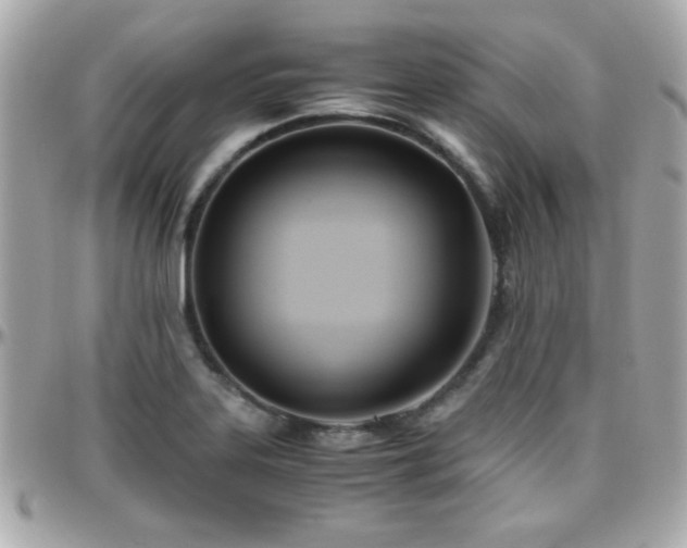 X0000096461323200801241358