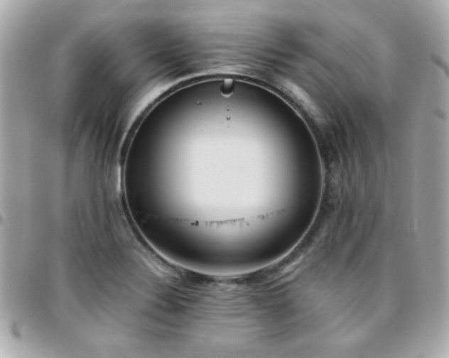 X0000096461324200801241358