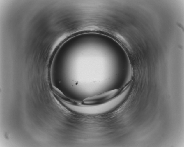 X0000096461326200801241358