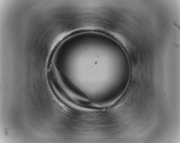 X0000096461327200801241358