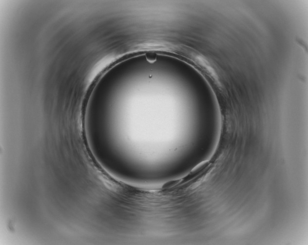 X0000096461328200801241358