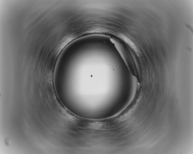 X0000096461329200801241358
